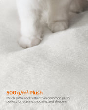 Close-up of a cat paw pressing into the 500 g per square metre plush cushion