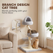 Branch-design cat tree in a living room with a cat on the side bed and a ginger cat at the base
