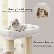 Cat tree dimensions diagram showing 50 x 50 x 160 cm size