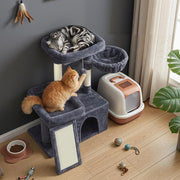 Lifestyle photo of two cats using the tree beside a litter box in a living room corner