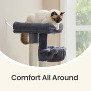 Cat resting on the top platform beside a window, with the hanging basket and dangling toy below