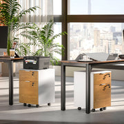 Lockable Two Drawer Office Filing Cabinet With Spacious Storage Wood Effect