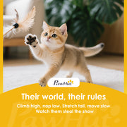 Multi Level Cat Tree With Condo And Sisal Scratching Posts For Indoor Kittens Beige AOSOM