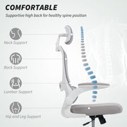 Ergonomic Mesh Back Office Chair With Lumbar Support For All Day Comfort, Grey