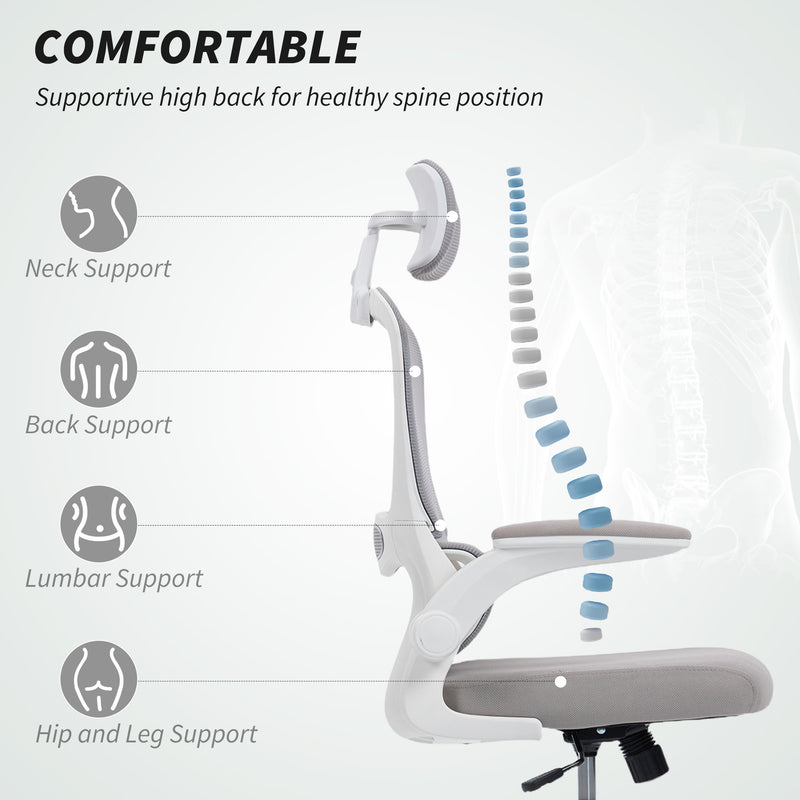 Ergonomic Mesh Back Office Chair With Lumbar Support For All Day Comfort, Grey
