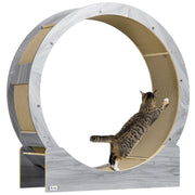 Grey Cat Exercise Wheel with Brake and Scratching Pads by PawHut
