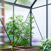 Walk-In Polycarbonate Greenhouse 192 x 131cm Weather Resistant Garden Grow House by Outsunny