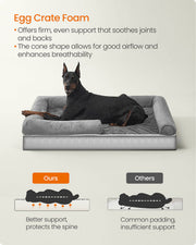 Feandrea orthopaedic dog bed shown from above, showing the foam base and cushioned sides