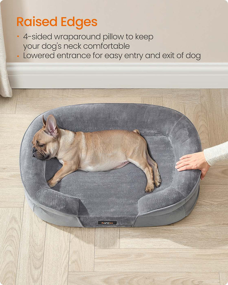 Small dog resting on the Feandrea orthopaedic sofa bed