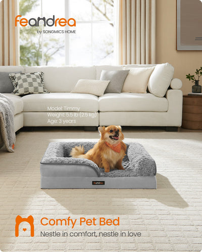 Feandrea medium dog bed styled in a living room with a small dog sitting in it