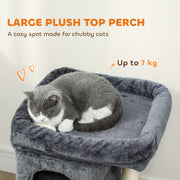 Cat Tree Tower with Two Condos and Scratching Post for Large Cats 66cm Dark Grey AOSOM