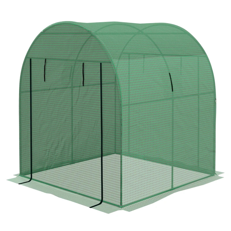 Image of a small walk in polytunnel greenhouse with roll up door and 2 windows