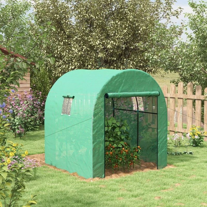 Image of a small walk in polytunnel greenhouse with roll up door and 2 windows