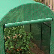 Image of a small walk in polytunnel greenhouse with roll up door and 2 windows