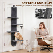 Cat on the sisal post of the door shelf with a woman seated nearby