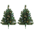Two green pre-lit outdoor Christmas trees with colourful LEDs and ground stakes on white