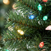Close-up of colourful LED bulbs on green PVC branch tips