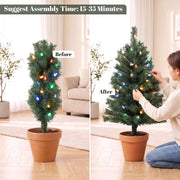 Before and after shaping comparison of a lit tree in a terracotta pot