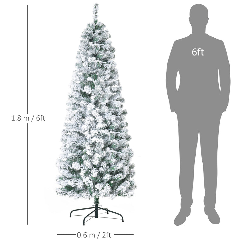 6ft tree dimensions diagram showing 1.8 m height and 0.6 m width next to a 6ft figure