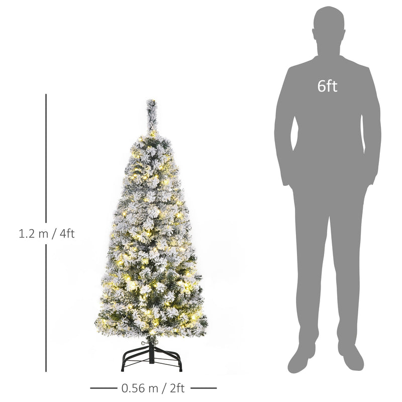 4ft tree dimensions diagram showing 1.2 m height and 0.56 m width next to a 6ft figure