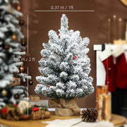 Dimensions diagram showing the mini tree at 60 cm high and 37 cm wide