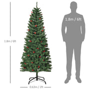 6ft tree dimensions diagram showing 1.8 m height and 0.63 m width next to a 6ft figure