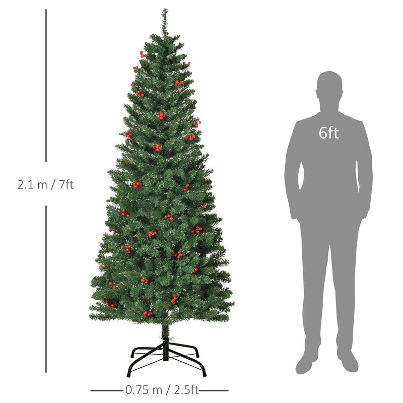 7ft tree dimensions diagram showing 2.1 m height and 0.75 m width next to a 6ft figure