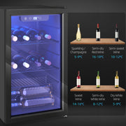 Wine Cooler for 24 Bottles with Double-Glass Door and Quiet Operation Black Homcom