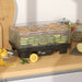 Six-Tray Food Dehydrator Adjustable Temperature 40-70 Degrees Fahrenheit Black by HOMCOM