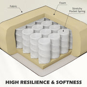 Modern Accent Chair with Solid Wood Legs Ideal for Lounge or Bedroom Use Cream White