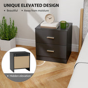 Modern Bedside Table with Two Storage Drawers for Bedroom or Lounge Use Black AOSOM