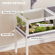 Raised tortoise cage shown with tortoises inside
