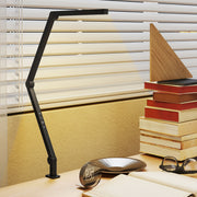LED Desk Lamp with Clamp and Swing Arm for Office or Study Adjustable Brightness Black AOSOM