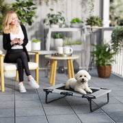 Light Grey Raised Dog Bed with Breathable Mesh for Small to Medium Dogs Indoors Outdoors AOSOM