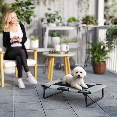 Light Grey Raised Dog Bed with Breathable Mesh for Small to Medium Dogs Indoors Outdoors AOSOM