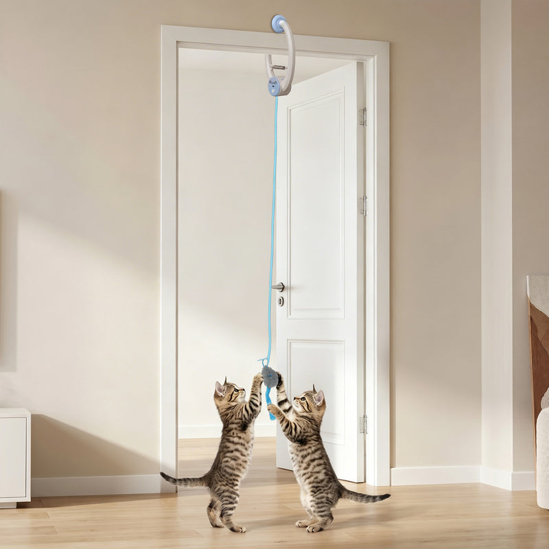 Automatic Doorway Cat Toy With Timer For Indoor Play And Scratch Prevention White Blue Pawhut