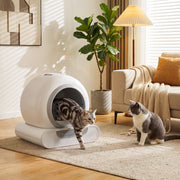 Cat stepping out of the self-cleaning litter box in a living room while a second cat waits
