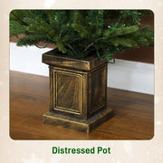 Close-up of the distressed bronze pot base holding the tree