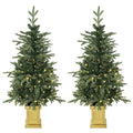 Set of 2 pre-lit Aspen Fir Christmas trees in gold-tone pots on a white background