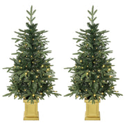 Set of 2 pre-lit Aspen Fir Christmas trees in gold-tone pots on a white background