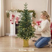 Dimensions diagram showing the Aspen Fir tree at 120 cm high and 75 cm wide