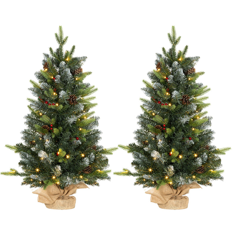 3ft set of two frosted pre-lit Christmas trees with berries and pinecones in burlap bases, studio shot