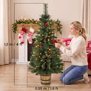 Dimensions diagram showing the pine tree at 120 cm high and 55 cm wide