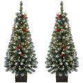 Pair of slim frosted pine Christmas trees with red berries in dark rustic pots