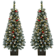 Pair of slim frosted pine Christmas trees with red berries in dark rustic pots