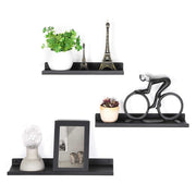 Black wall shelves displaying a potted plant, ornaments and a framed photo