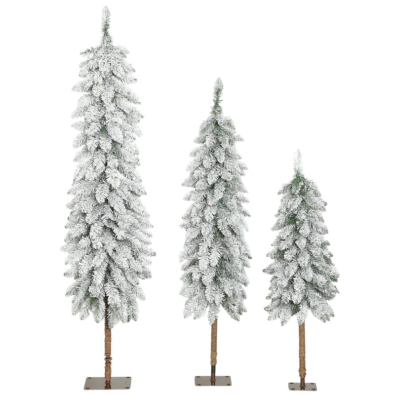 Set of 3 snow-flocked pencil Christmas trees in three heights on white