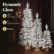 Dynamic glow panel listing 150 LEDs, 8 lighting modes and battery box button