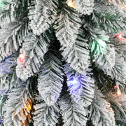 Close-up of snow-flocked branches with red, green and blue LEDs