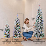 Height and diameter diagram showing 0.9 m, 1.2 m and 1.5 m trees with a woman adjusting a branch